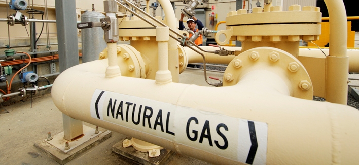 Gas1